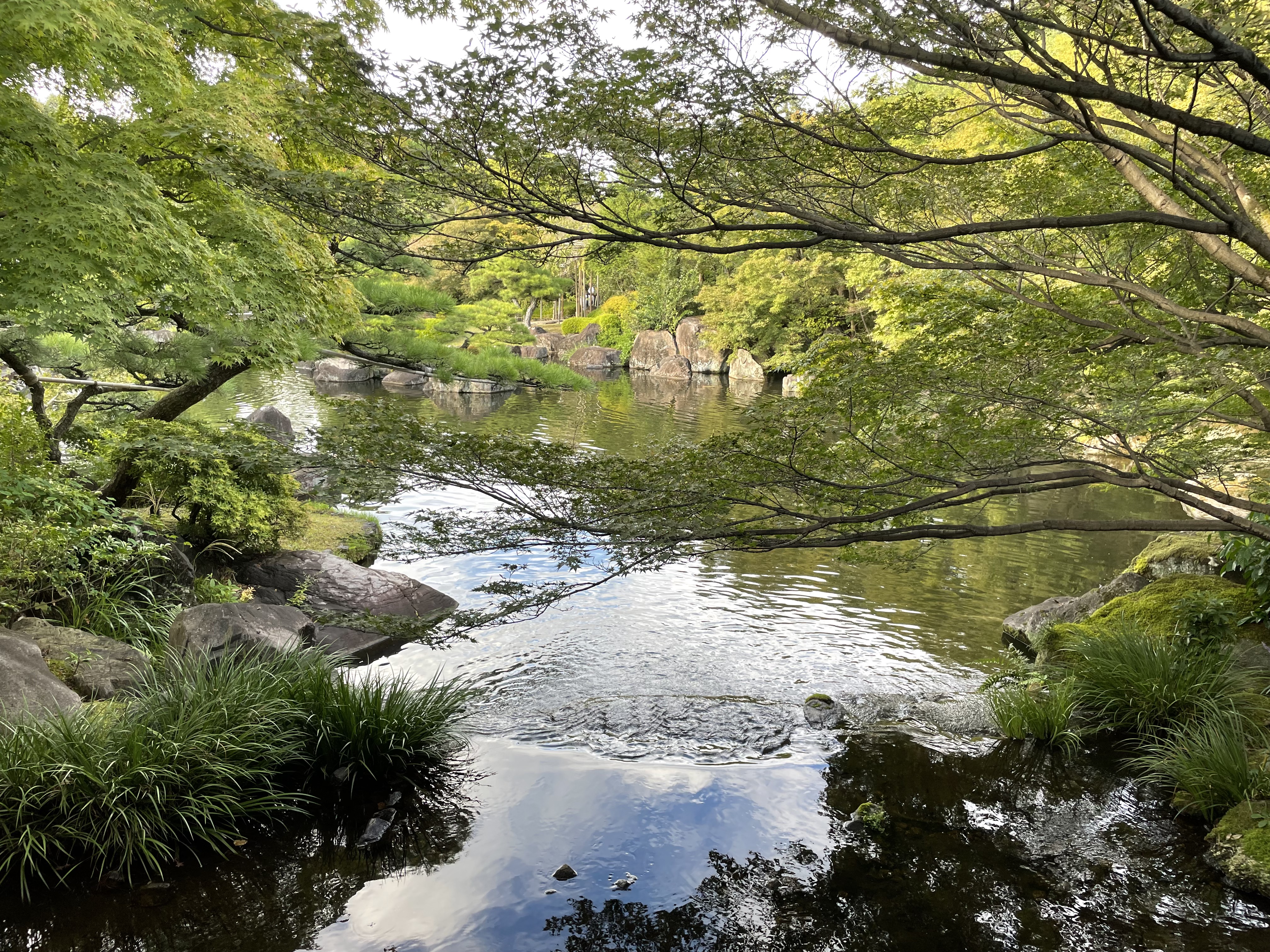 Chroniques japonaises – épisode 3 : Japon & nature